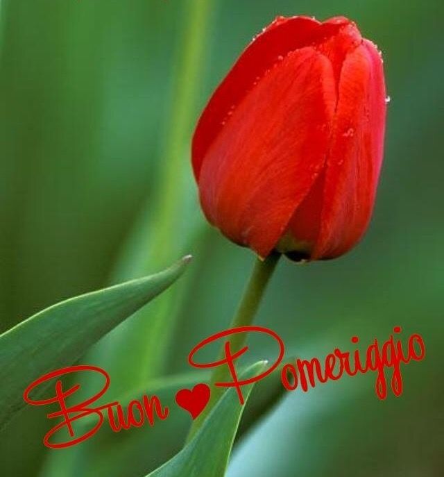 Buon Pomeriggio Immagini​ 76