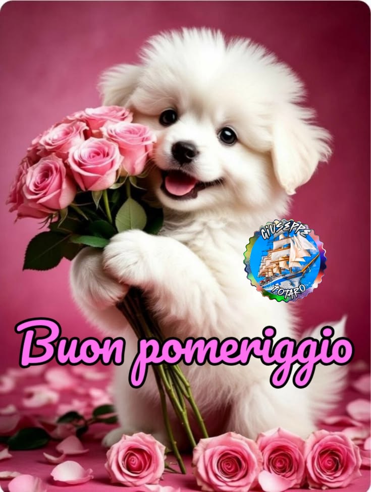 Buon Pomeriggio Immagini​ 9