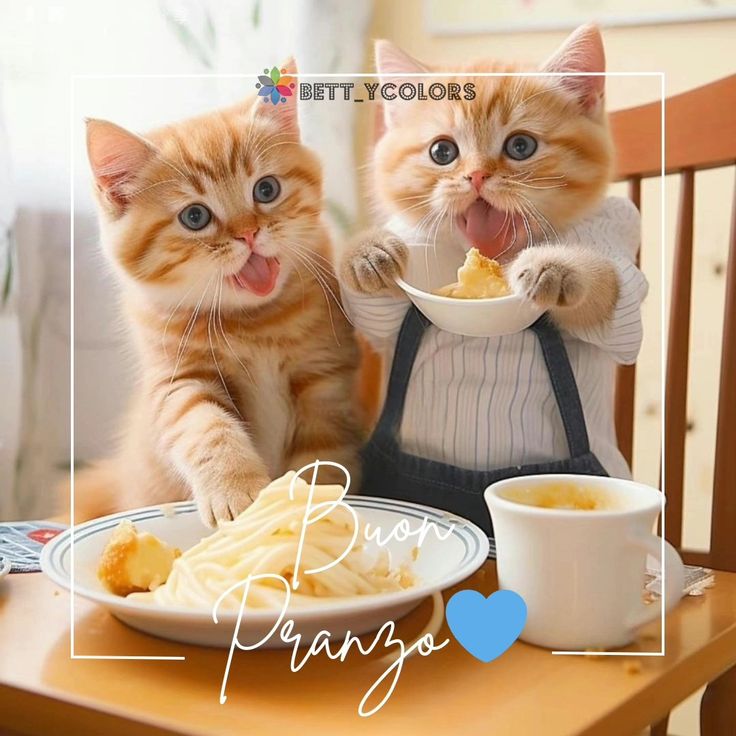 Buon Pranzo Immagini​ 115