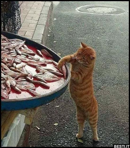 Buon Pranzo Immagini​ 127