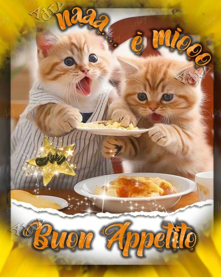 Buon Pranzo Immagini​ 85