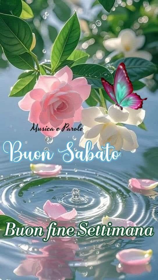 Buon Sabato Immagini​ 11