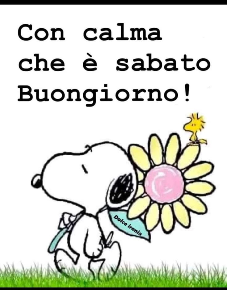 Buon Sabato Immagini​ 112