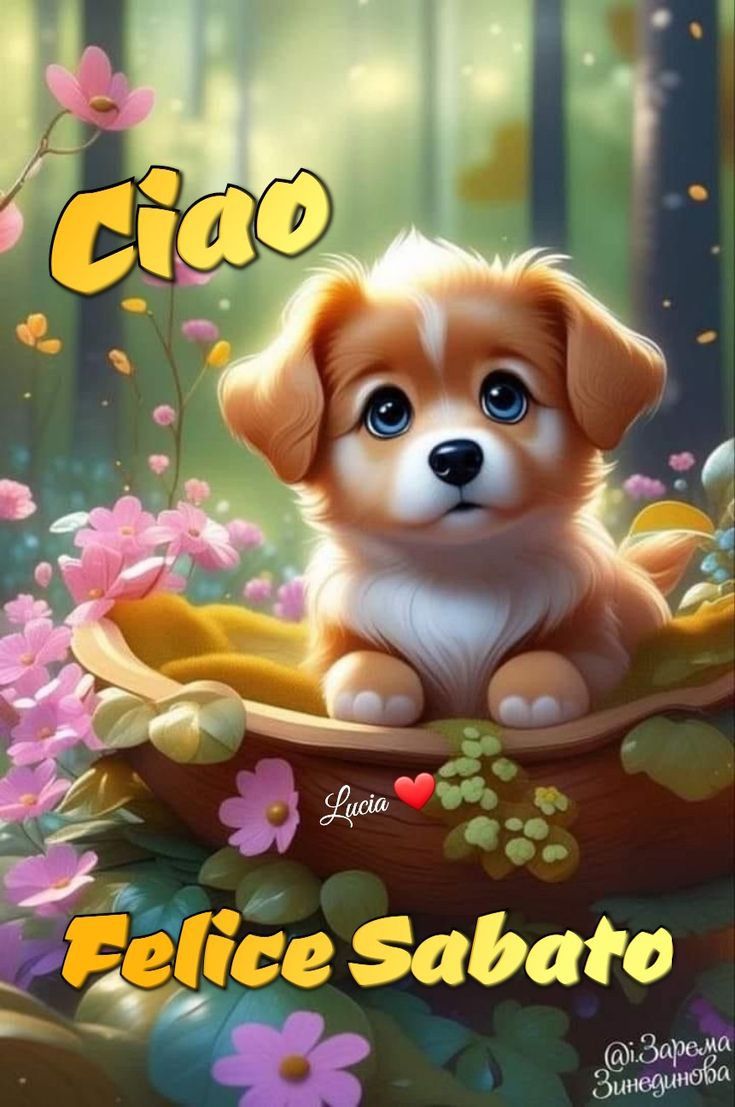 Buon Sabato Immagini​ 145