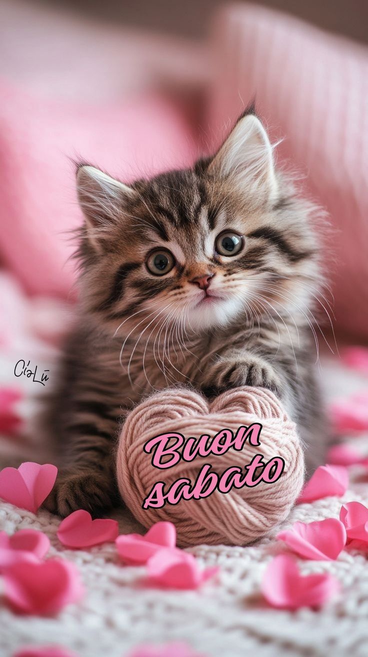 Buon Sabato Immagini​ 20