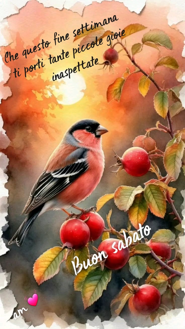 Buon Sabato Immagini​ 59