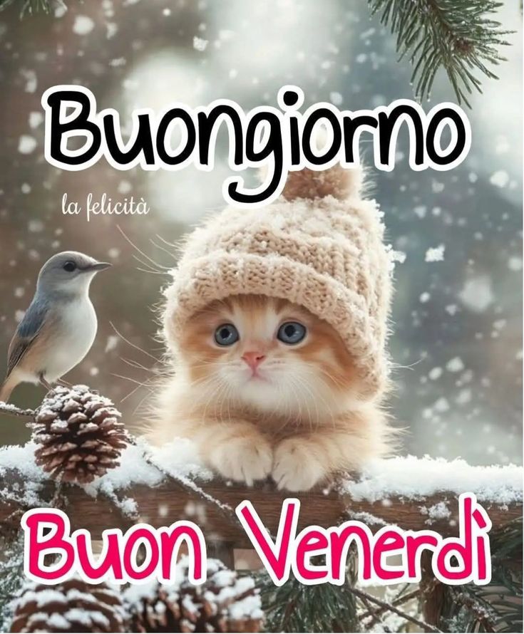 Buon Venerdì Immagini​ 132