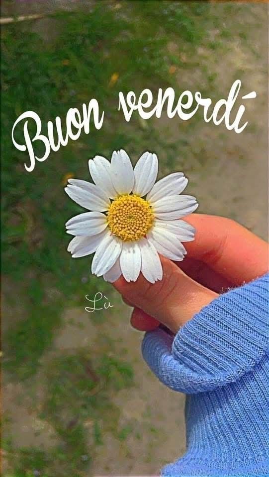 Buon Venerdì Immagini​ 135
