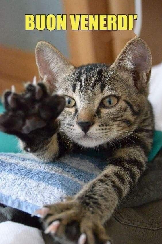 Buon Venerdì Immagini​ 46