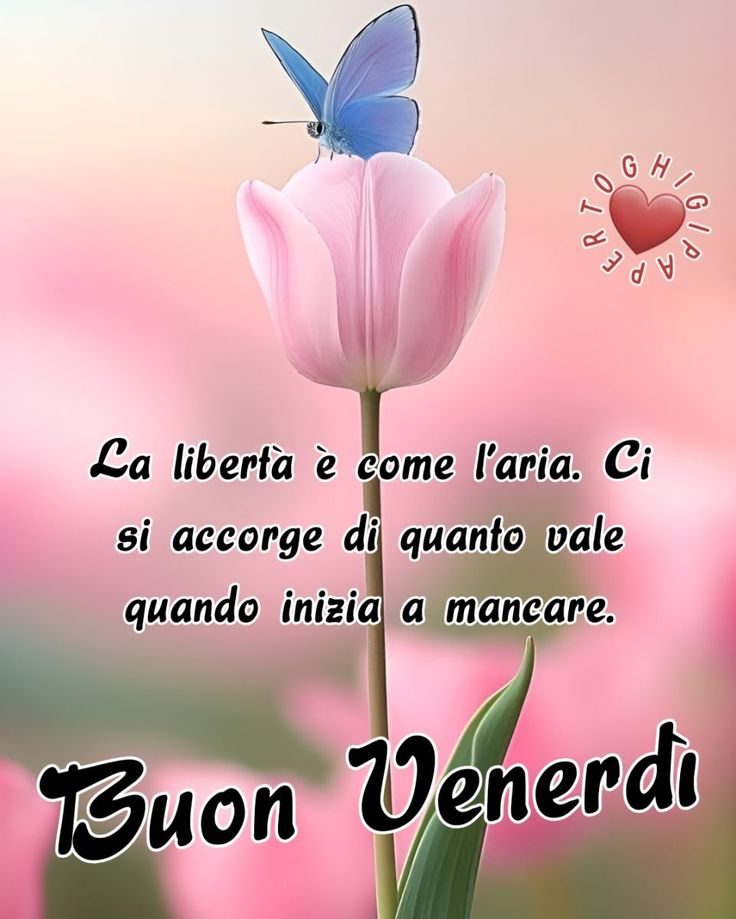 Buon Venerdì Immagini​ 52