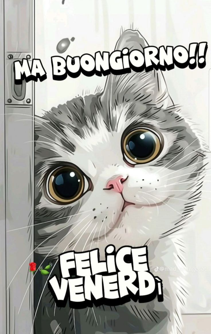 Buon Venerdì Immagini​ 55