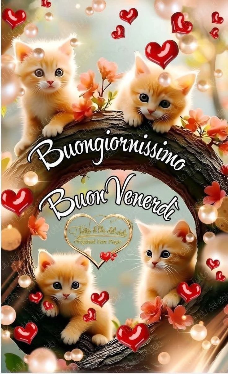 Buon Venerdì Immagini​ 84