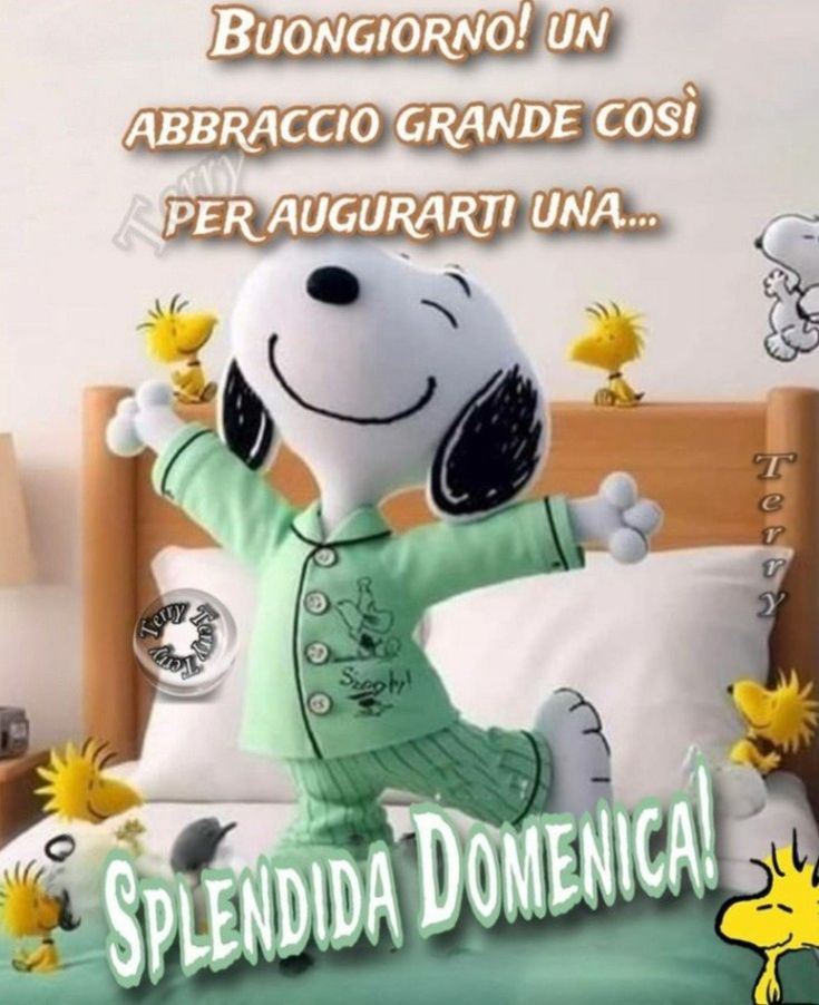Buona Domenica Immagini​ 11