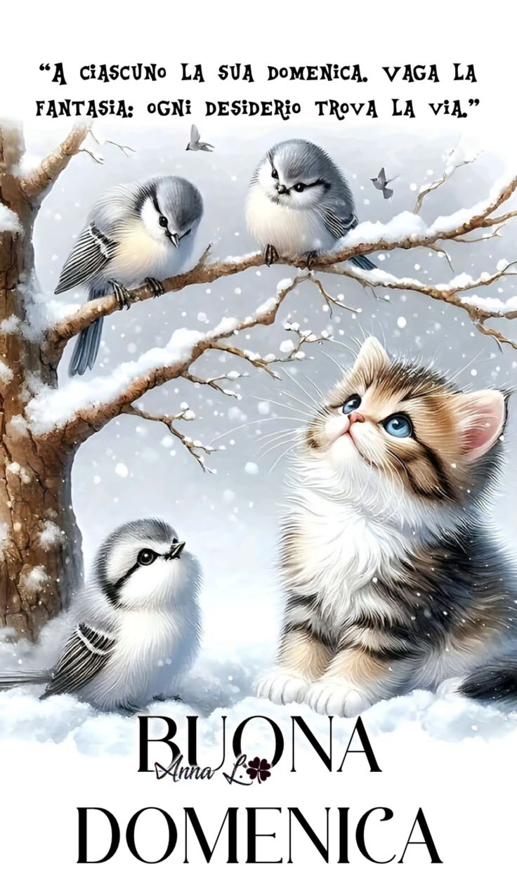 Buona Domenica Immagini​ 113