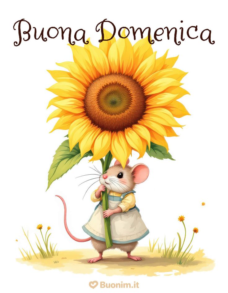 Buona Domenica Immagini​ 120