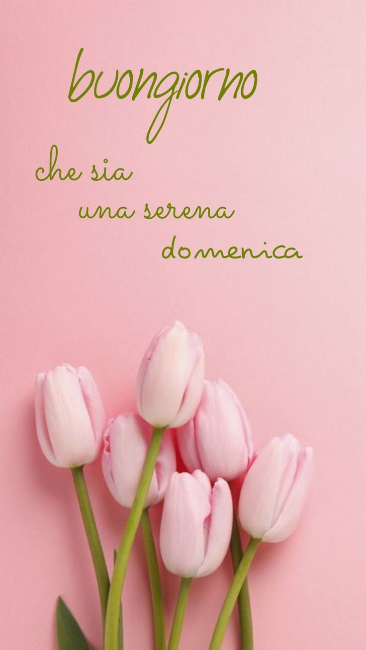 Buona Domenica Immagini​ 135