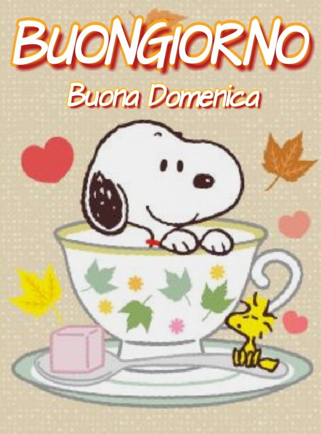 Buona Domenica Immagini​ 42