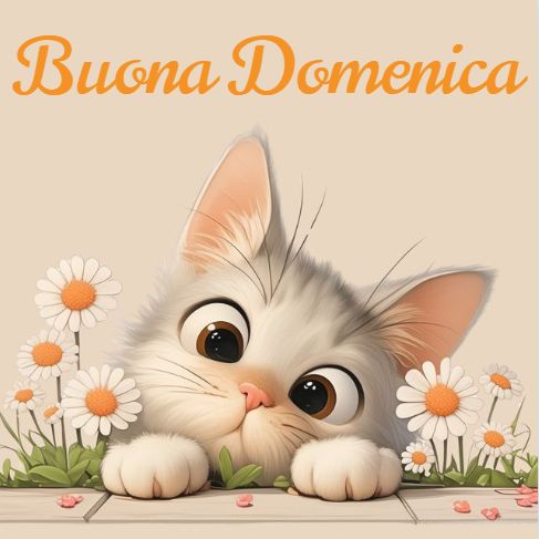 Buona Domenica Immagini​ 52