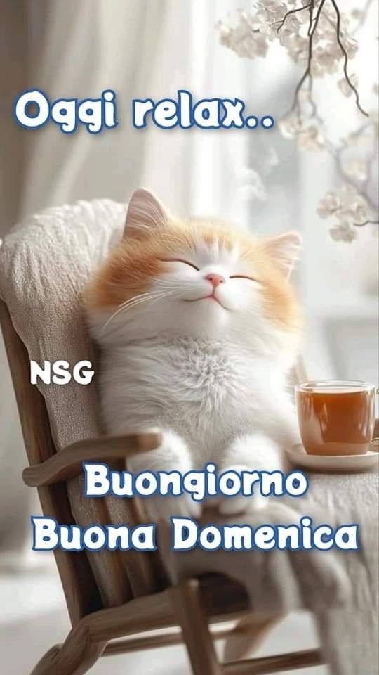 Buona Domenica Immagini​ 56