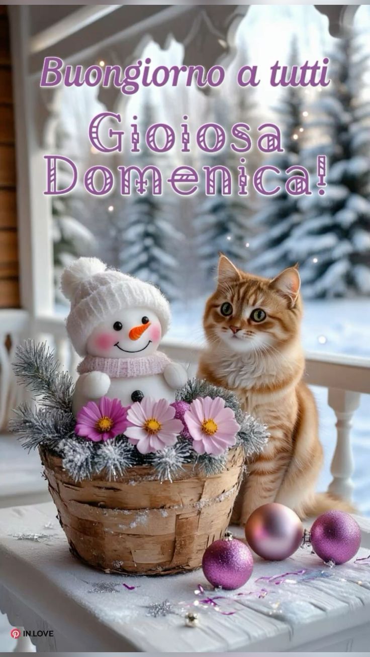 Buona Domenica Immagini​ 74