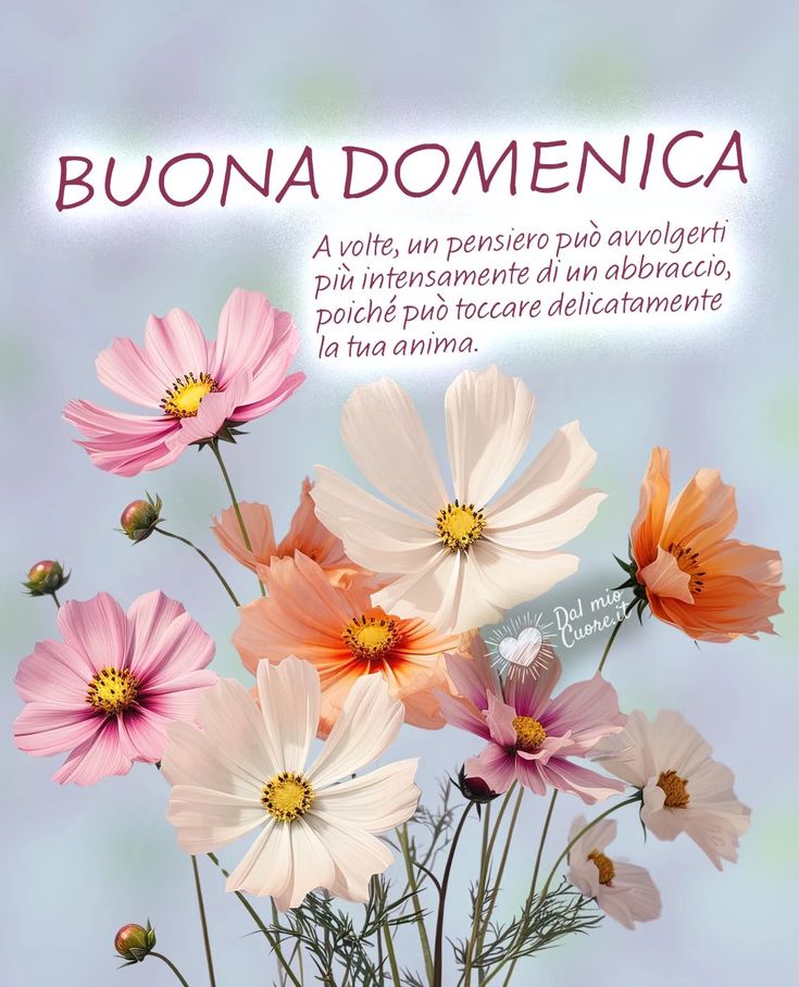 Buona Domenica Immagini​ 81