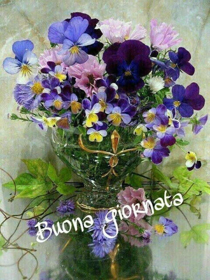 Buona Giornata Immagini​ 108