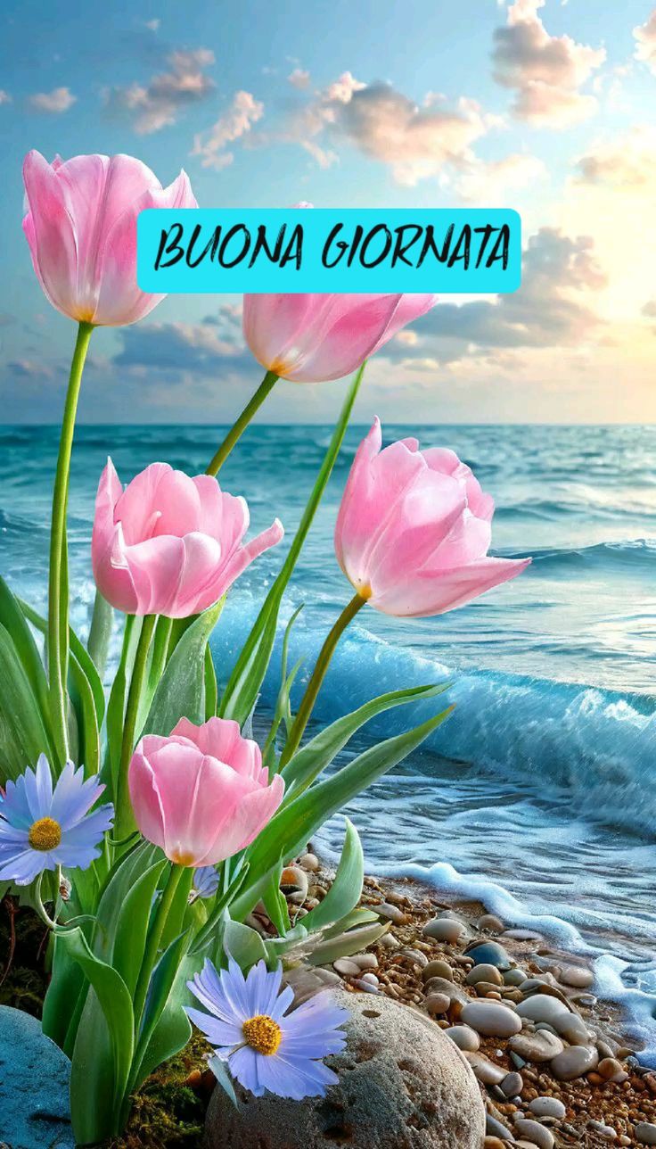 Buona Giornata Immagini​ 118