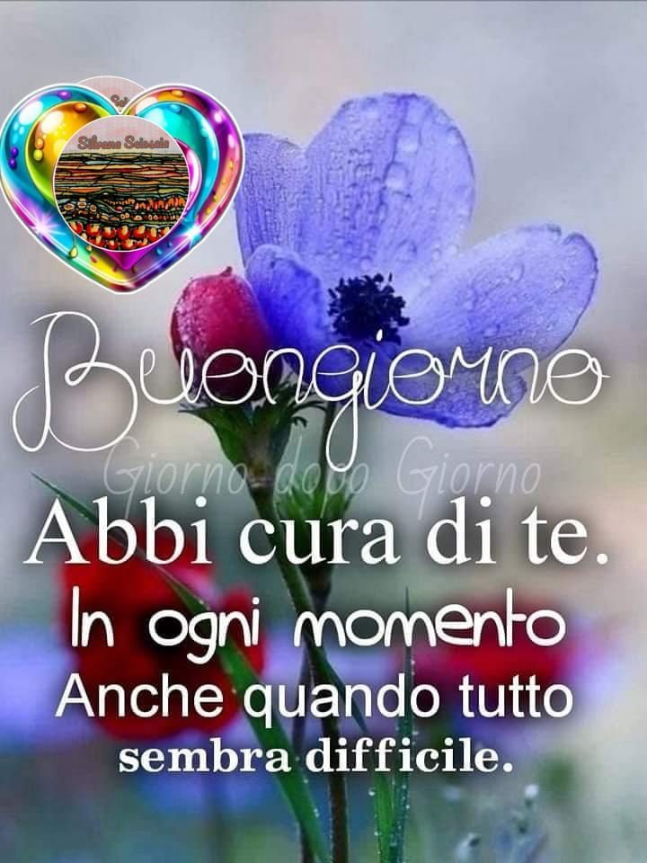 Buona Giornata Immagini​ 125