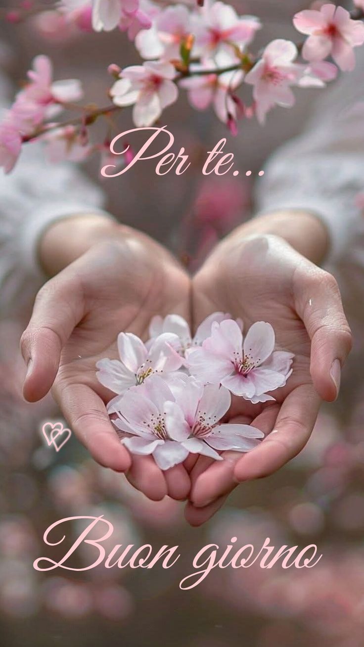 Buona Giornata Immagini​ 126