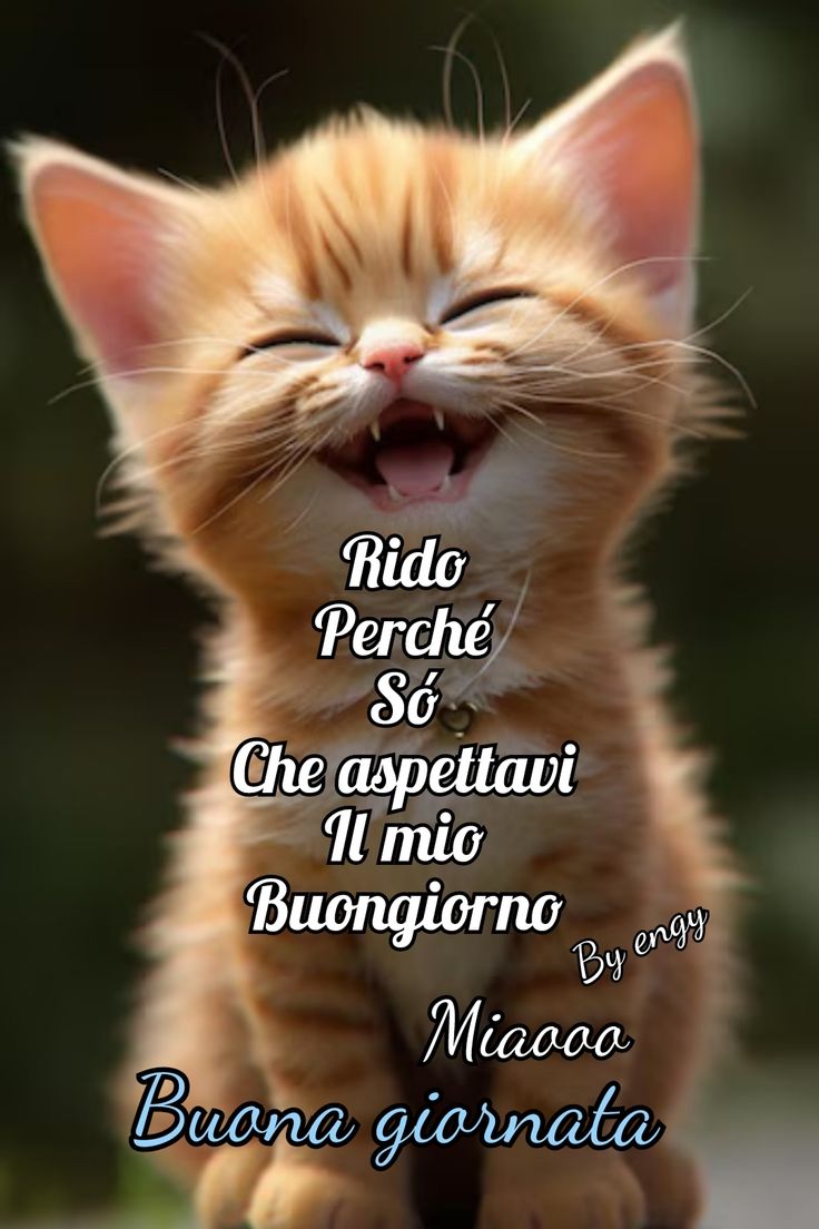 Buona Giornata Immagini​ 135