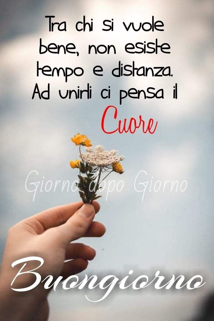 Buona Giornata Immagini​ 143