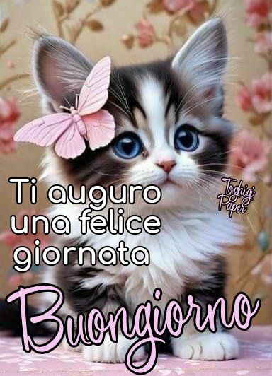 Buona Giornata Immagini​ 147