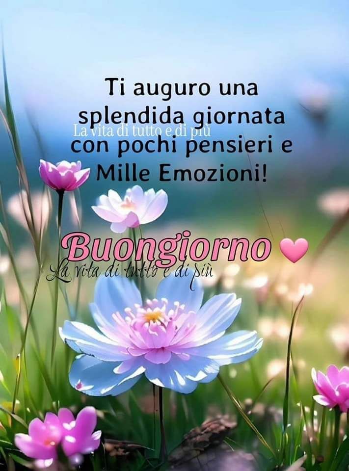 Buona Giornata Immagini​ 17