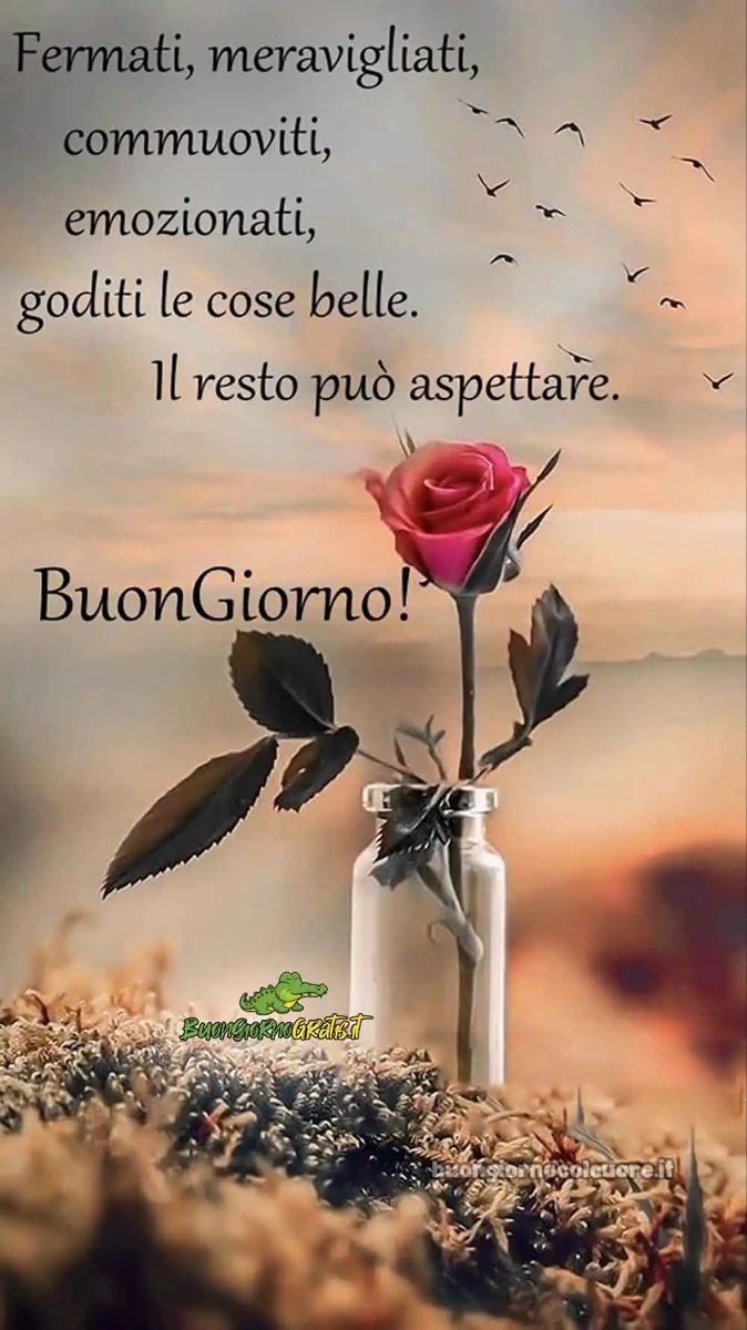 Buona Giornata Immagini​ 25