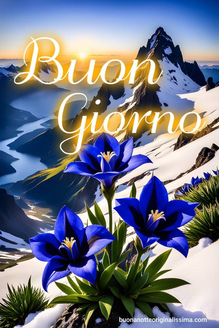 Buona Giornata Immagini​ 27