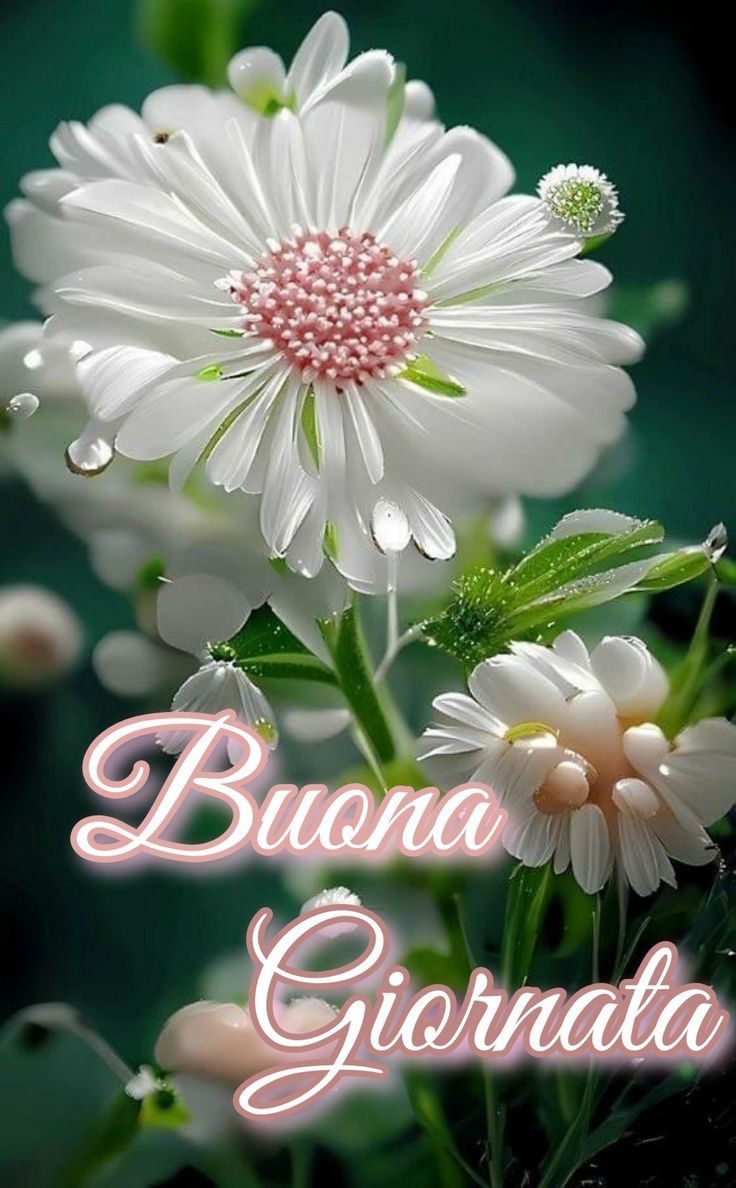 Buona Giornata Immagini​ 31