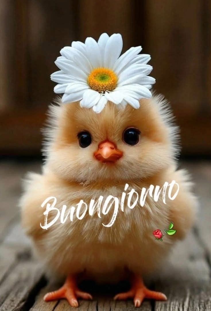 Buona Giornata Immagini​ 55
