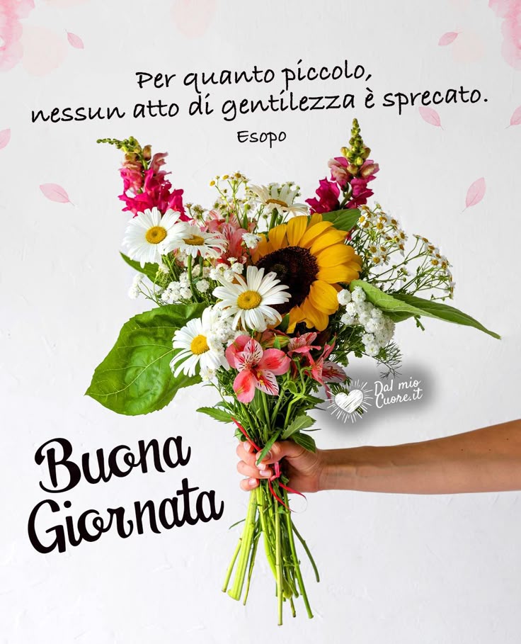 Buona Giornata Immagini​ 59