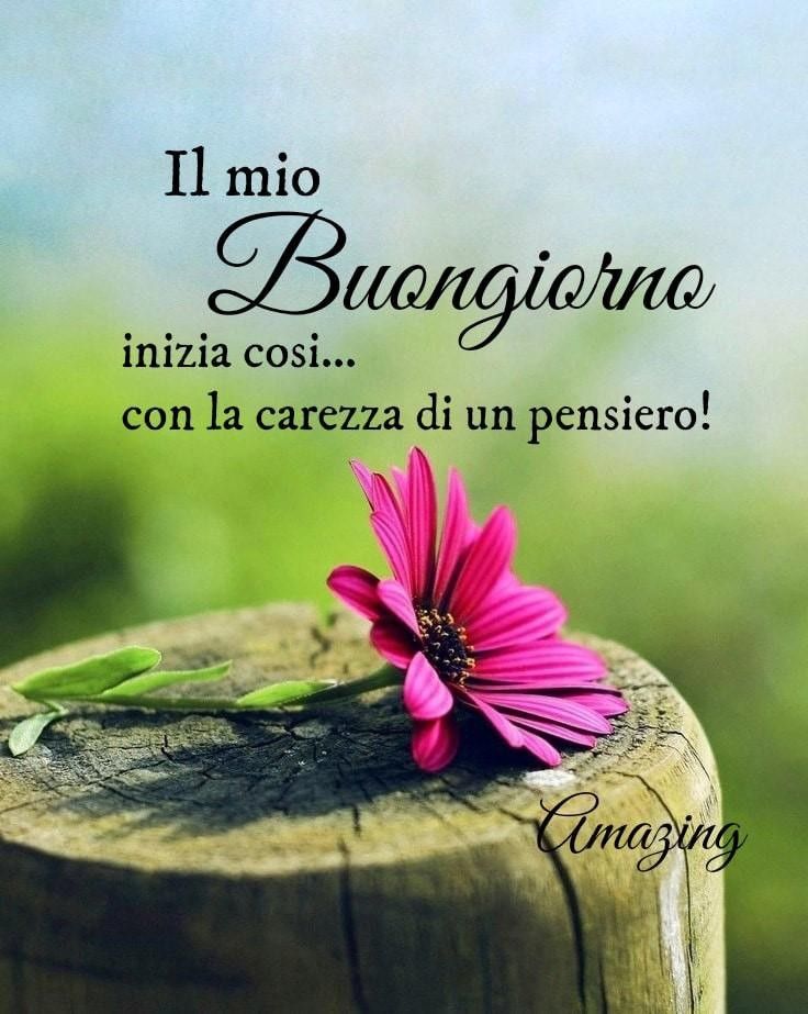 Buona Giornata Immagini​ 79