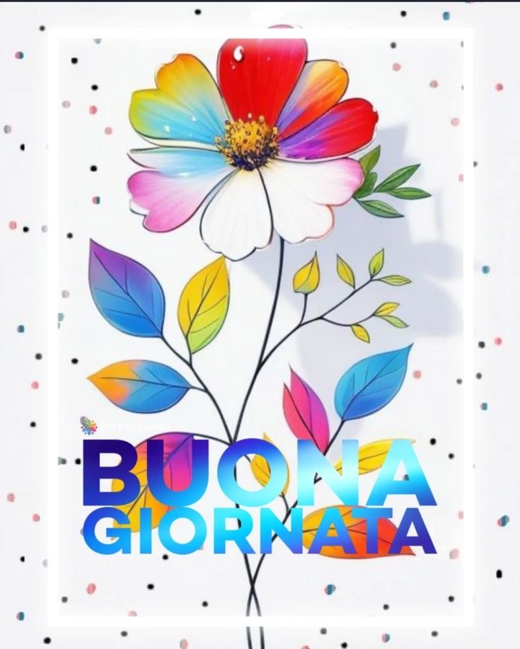 Buona Giornata Immagini​ 86