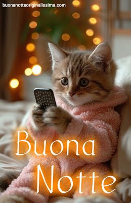 Buona Notte Immagini​ 139