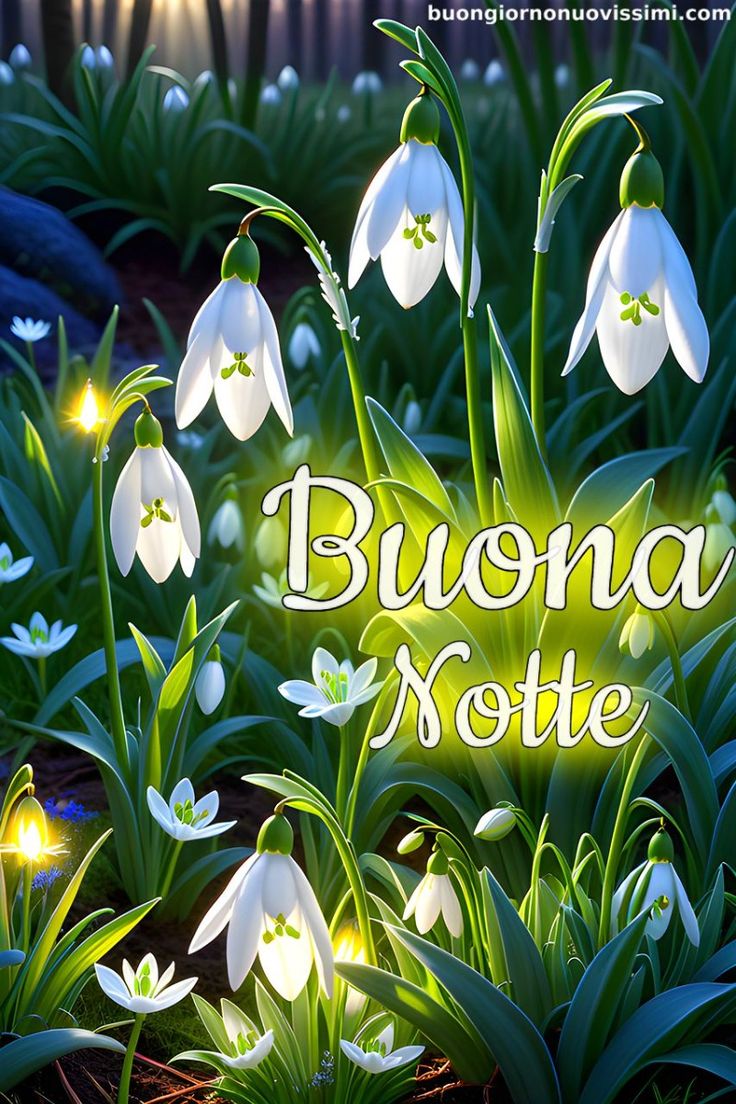 Buona Notte Immagini​ 148