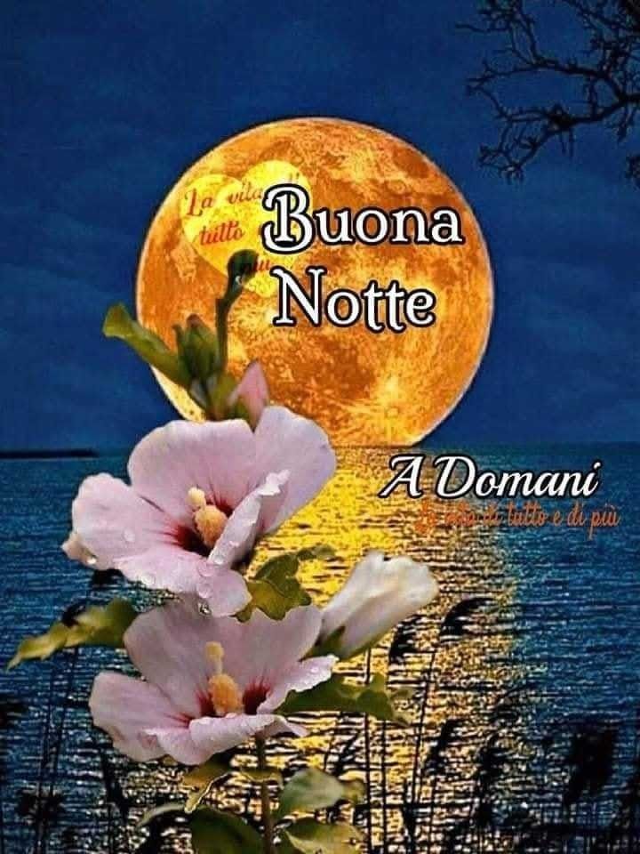 Buona Notte Immagini​ 28