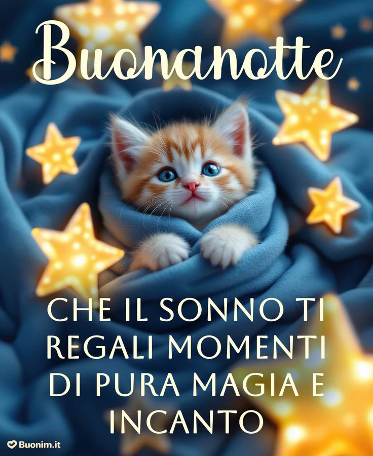 Buona Notte Immagini​ 35