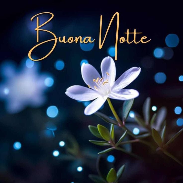 Buona Notte Immagini​ 5