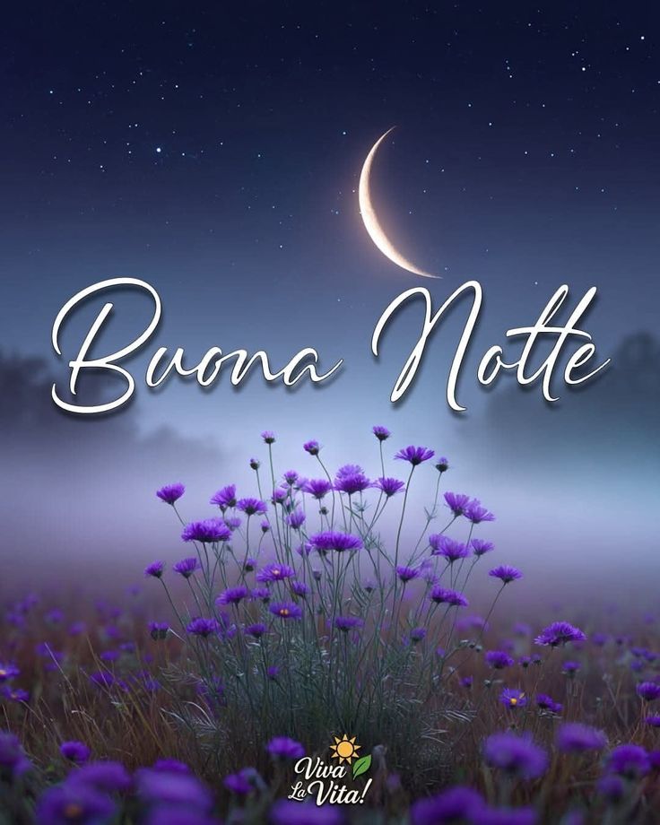 Buona Notte Immagini​ 67