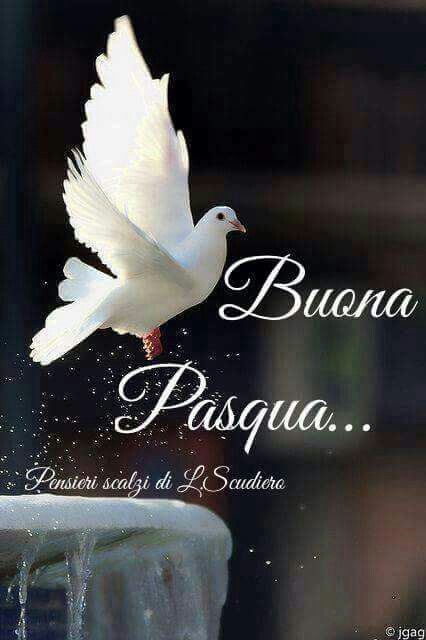 Buona Pasqua Immagini Belle​ 104