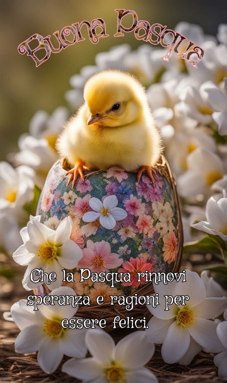 Buona Pasqua Immagini Belle​ 72