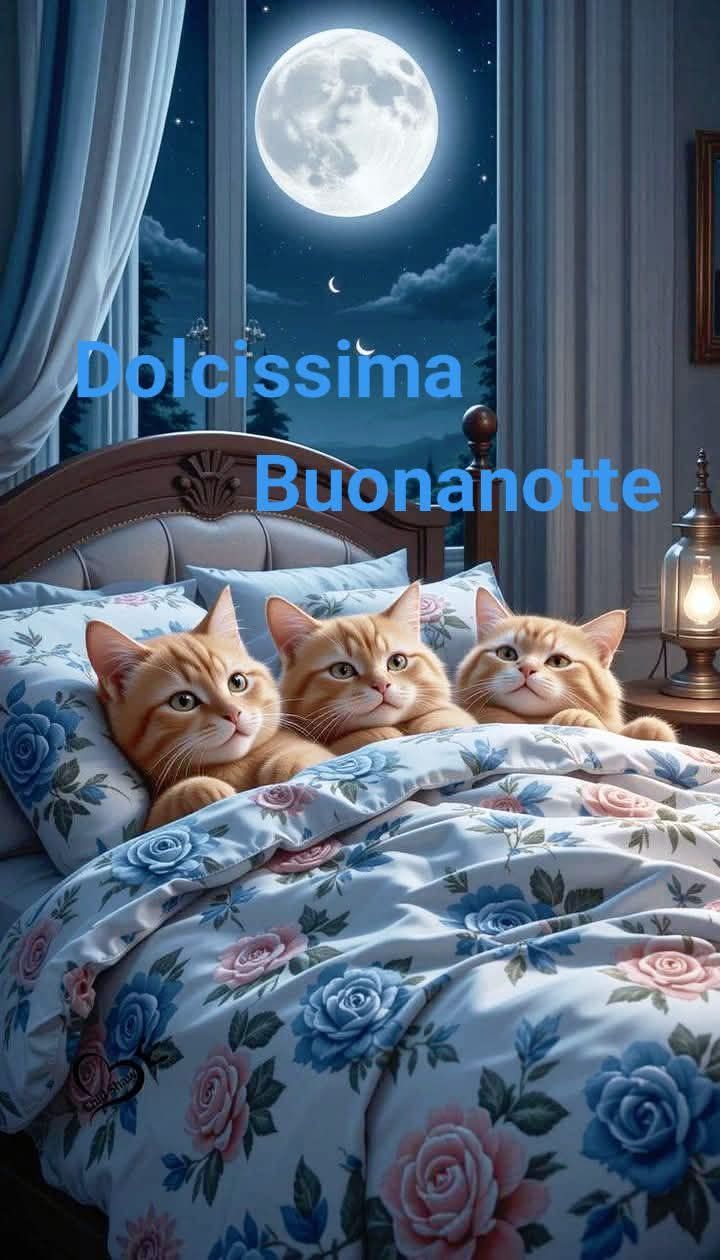 Buonanotte Immagini Nuove​ 124