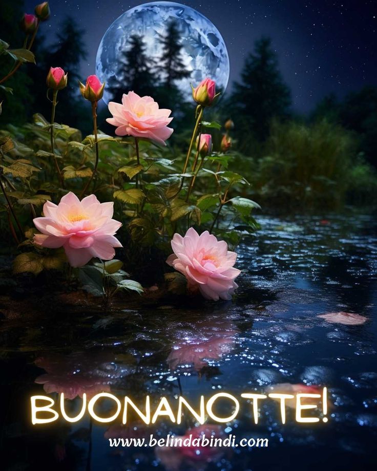 Buonanotte Immagini Nuove​ 141